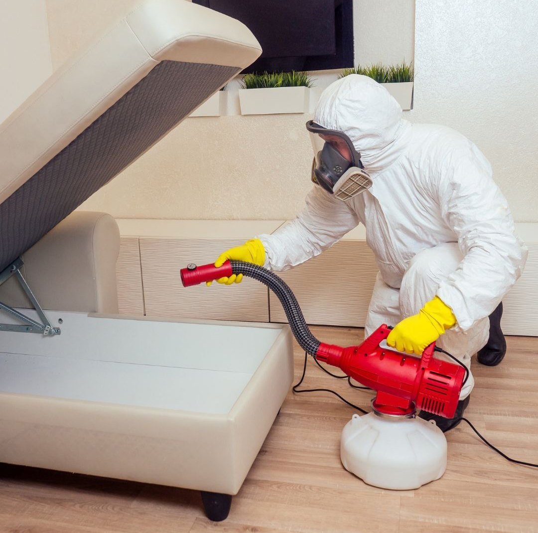 Indore Pest Control & Fumigation | +91 70111 51215