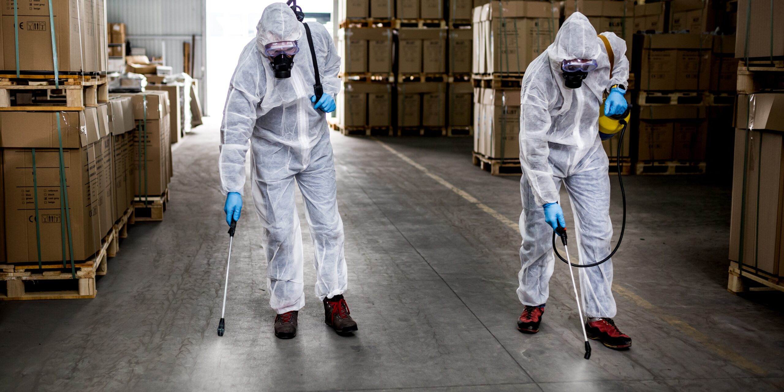 Indore Pest Control & Fumigation | +91 70111 51215