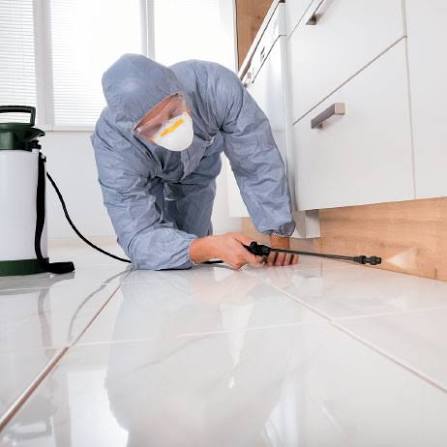 Indore Pest Control & Fumigation | +91 70111 51215