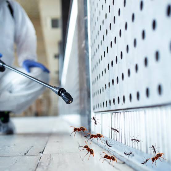 Indore Pest Control & Fumigation | +91 70111 51215